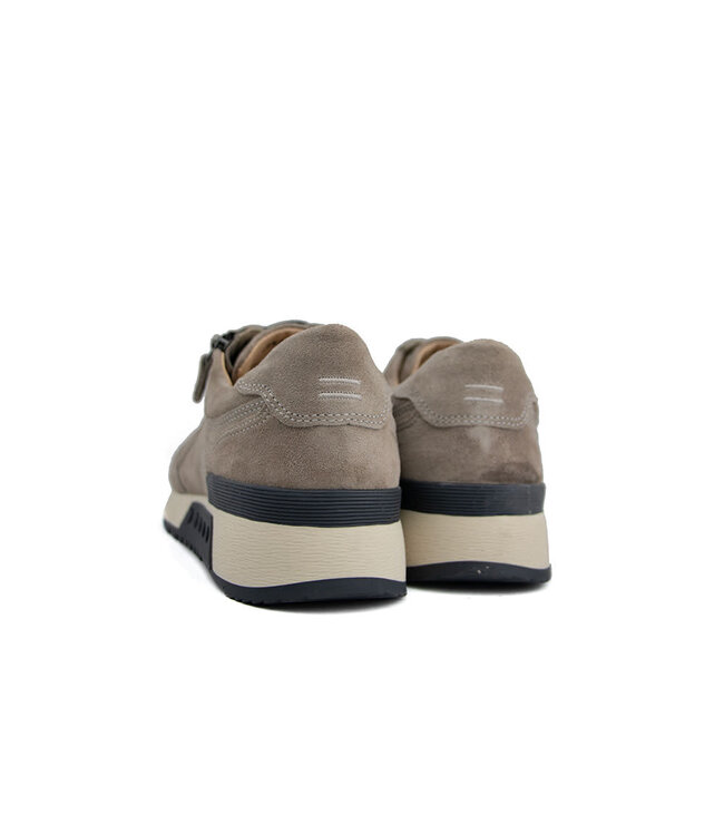 Greve Sneaker Haarlem K Roccia Suede