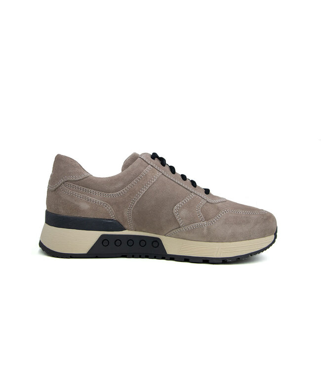 Greve Sneaker Haarlem K Roccia Suede