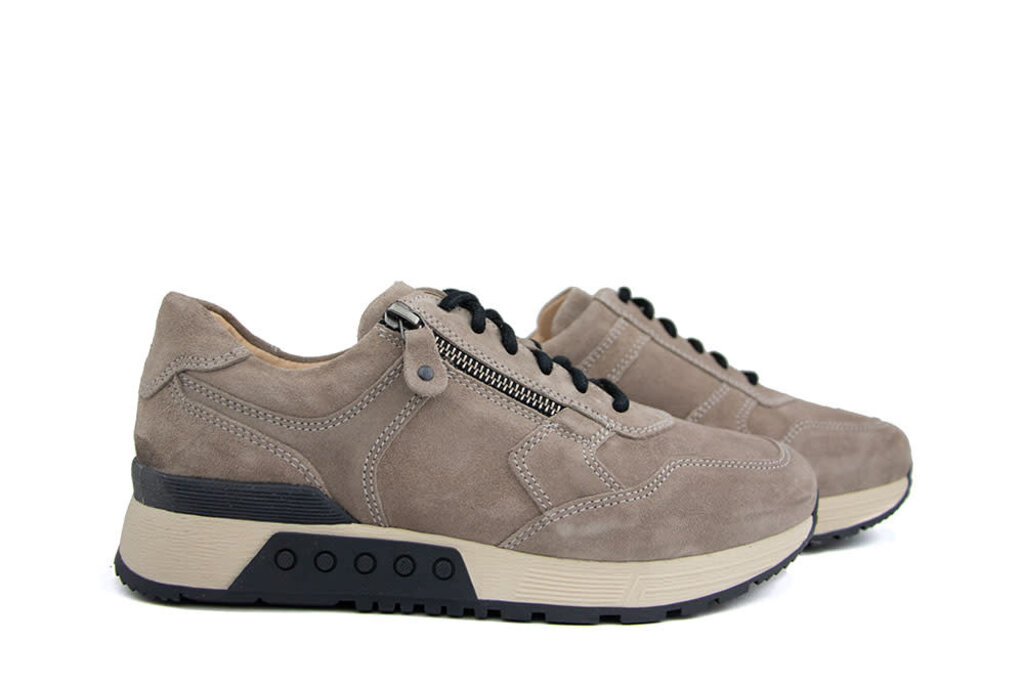 Greve Greve Sneaker Haarlem K Roccia Suede