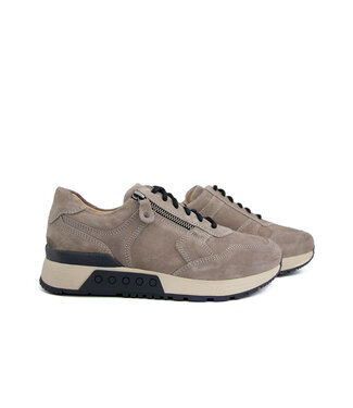 Greve Greve Sneaker Haarlem K Roccia Suede