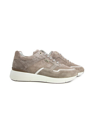 Greve Greve Sneaker Walker K Roccia Suede