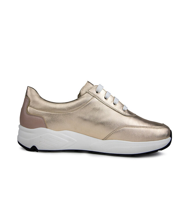 Solidus Sneaker Mia Sonic Platino Multi M