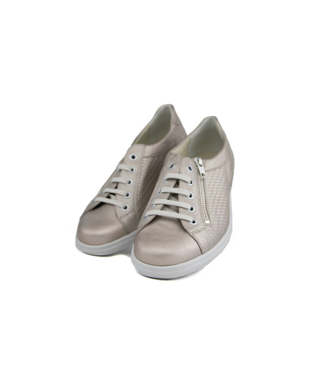 Solidus Veter Maaike Akoya Champagne M