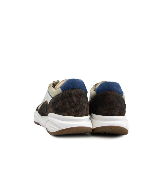 Xsensible Sneaker SWX14 Brown