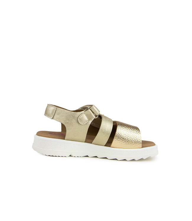 Develab Sandaal Gold Fantasy