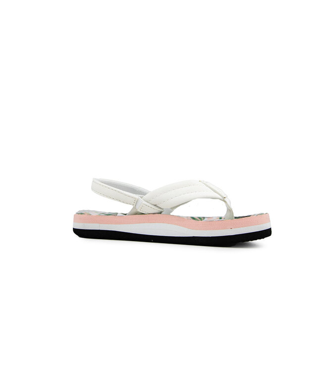 Reef Little Ahi Zebra