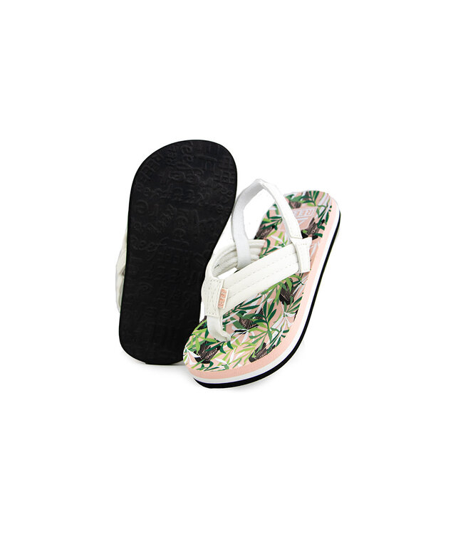 Reef Little Ahi Zebra