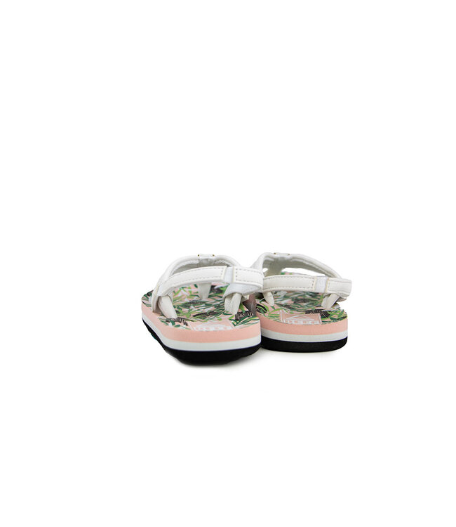 Reef Little Ahi Zebra