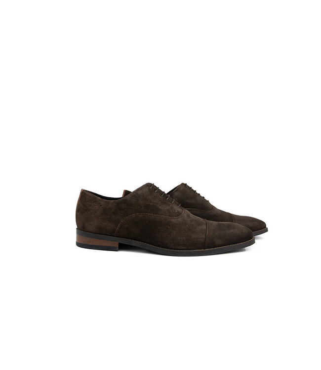 Van Lier Veter Bregenz Testa di Moro Donkerbruin