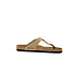 Birkenstock Gizeh BS Tabacco Brown Regular