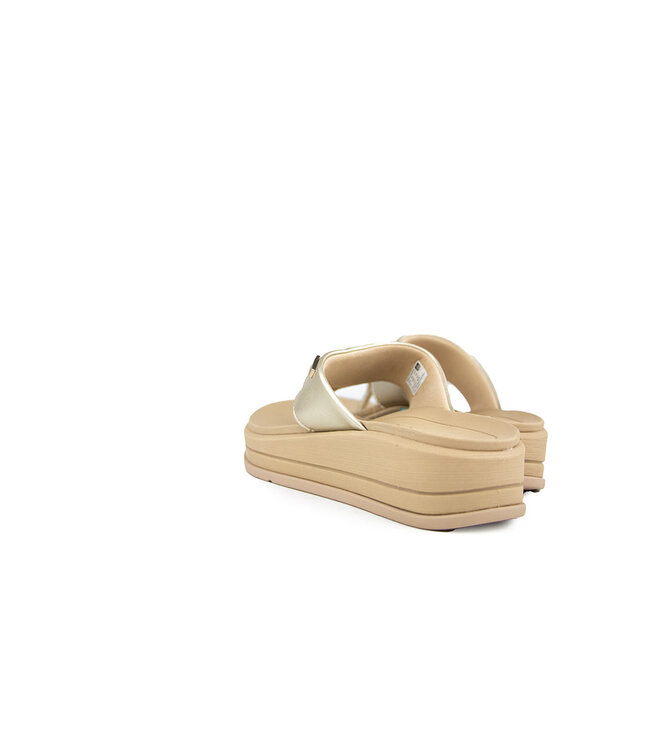 Reef Aura Serenity Golden Hour