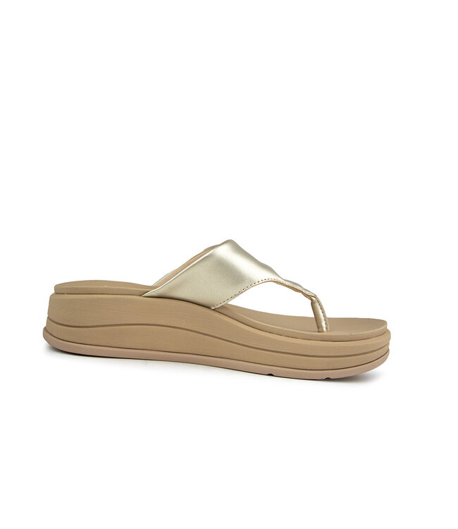 Reef Aura Serenity Golden Hour