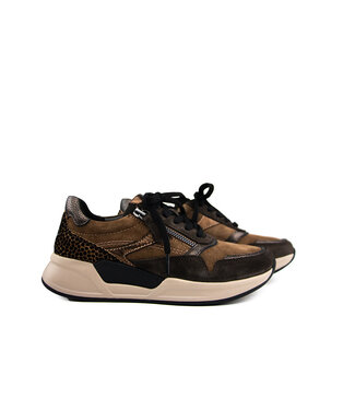 Gabor Gabor Rolling Soft Sneaker Nut Brown Bronce