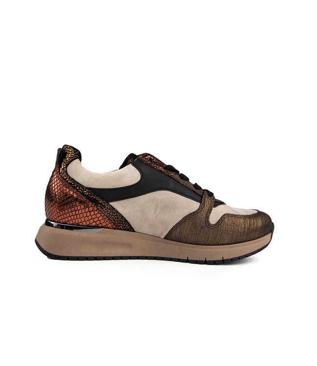 Gabor Sneaker Savanne Bronce Lizard Metal