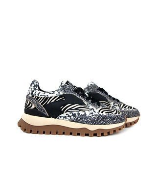 Floris van Bommel Floris van Bommel Grommi 04.01 Black