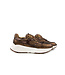 Xsensible Sneaker Ponte Vecchio G Bronze