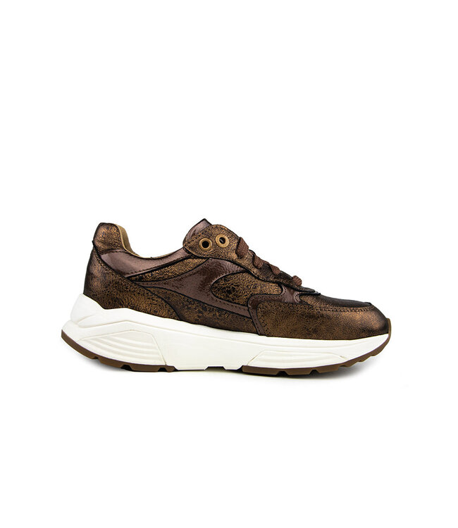 Xsensible Sneaker Ponte Vecchio G Bronze