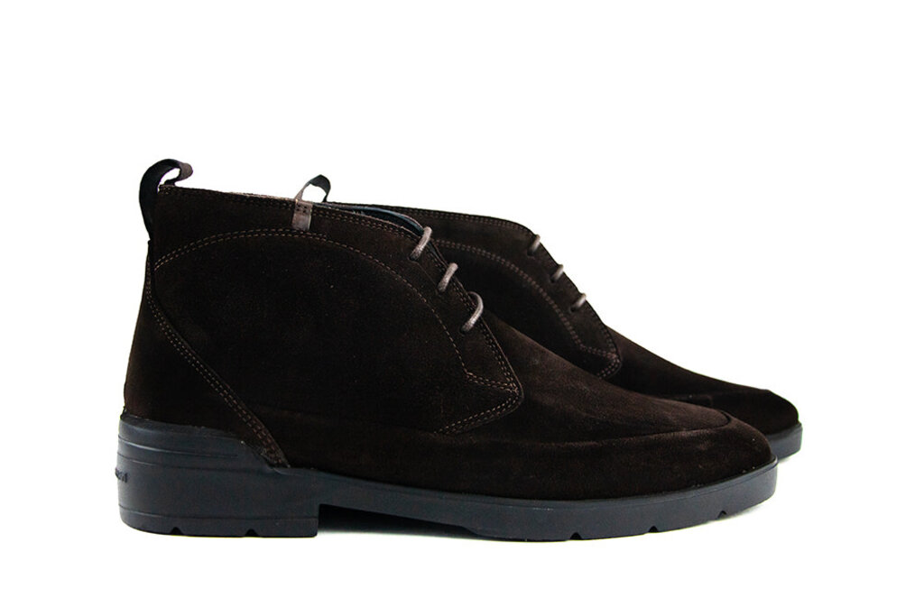 Floris van Bommel Floris van Bommel De Venker 01.18 D.Brown