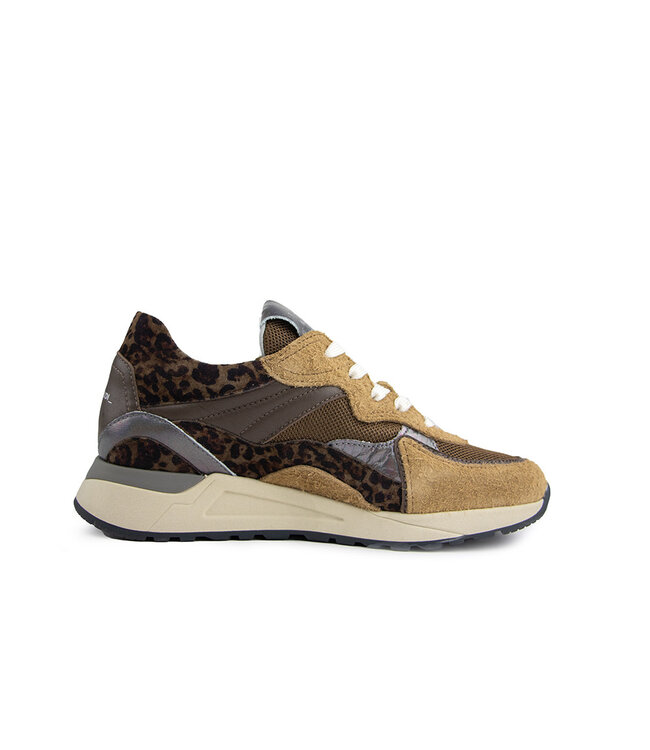 Piedi Nudi Sneaker Nova 11.37 Desert Taupe