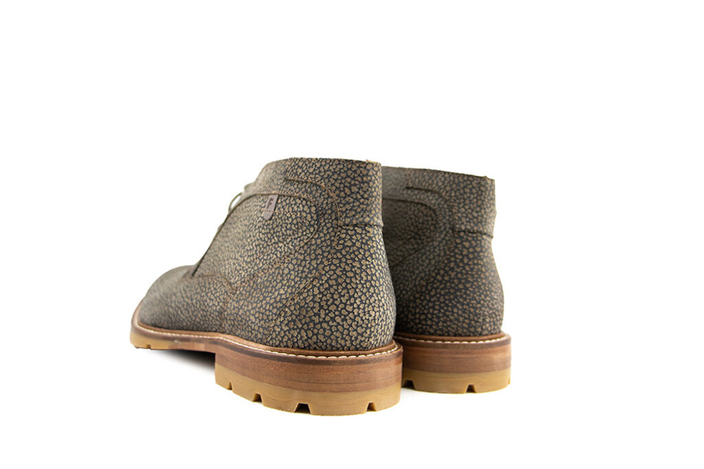 Floris van Bommel Floris van Bommel De Braver 01.01 L.Brown