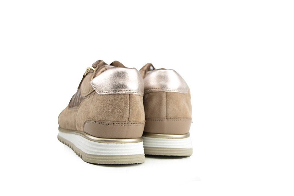 Hassia Hassia Sneaker Porto Taupe Crocco