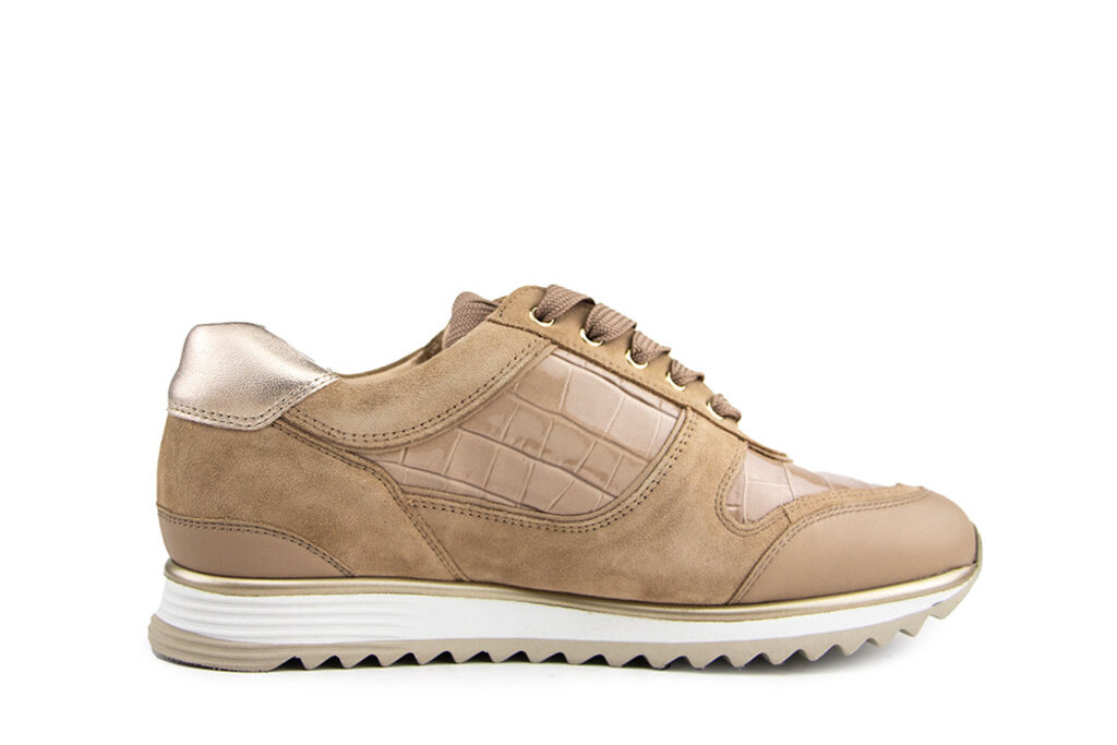Hassia Hassia Sneaker Porto Taupe Crocco