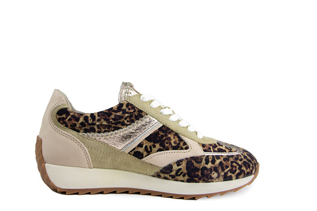 Piedi Nudi Piedi Nudi Sneaker Harlem 02.05 Beige Leopardo