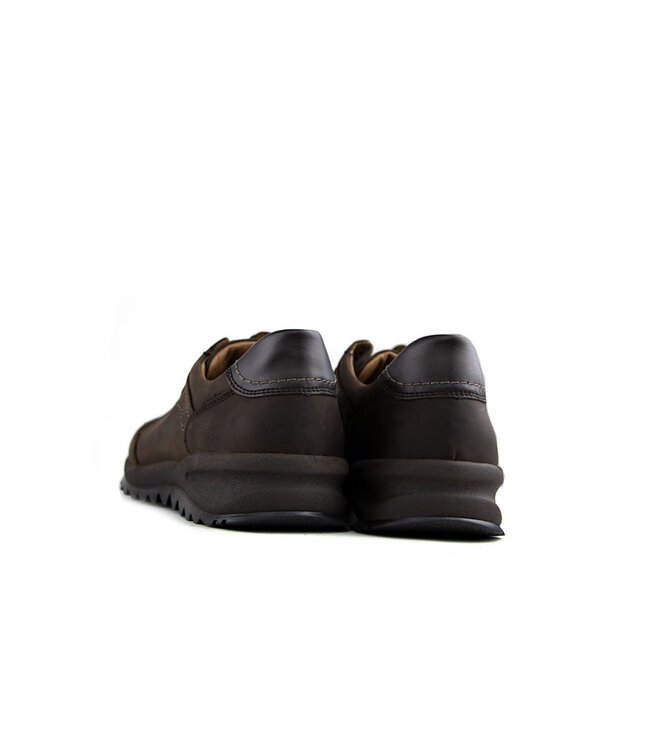 Waldlaufer Veter Helle Moro