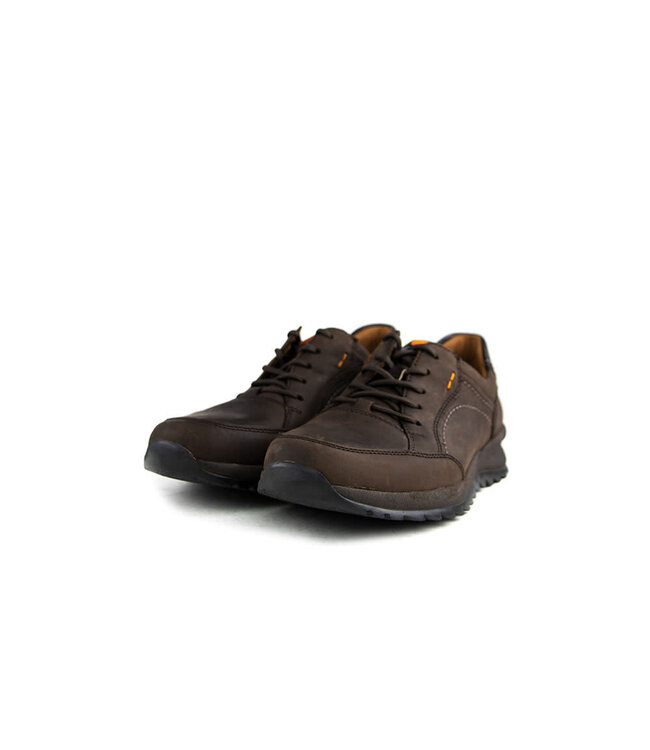 Waldlaufer Veter Helle Moro