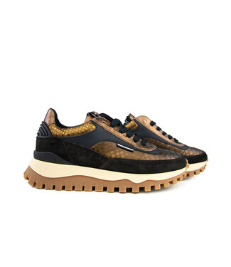 Floris van Bommel Floris van Bommel Grommi 01.17 Bronz