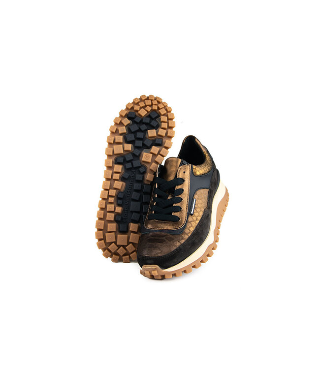 Floris van Bommel Grommi 01.17 Bronz