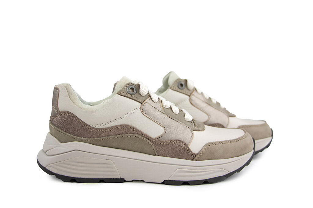 Xsensible Xsensible Golden Gate Lady GX Taupe Combi