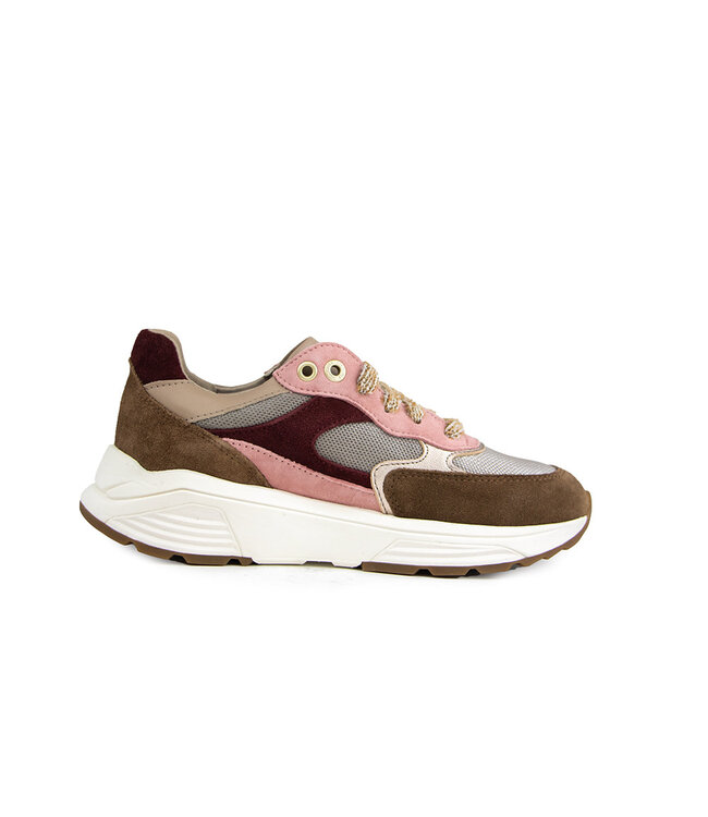 Xsensible Ponte Vecchio G Camel Combi