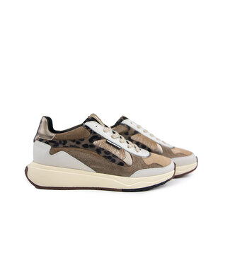 Floris van Bommel Floris van Bommel Suvi 03.04 Taupe