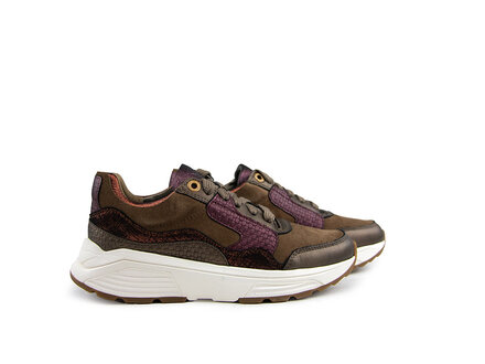 Xsensible Xsensible Golden Gate Lady GX Bronze Combi Xsensible Xsensible Golden Gate Lady GX Bronze Combi