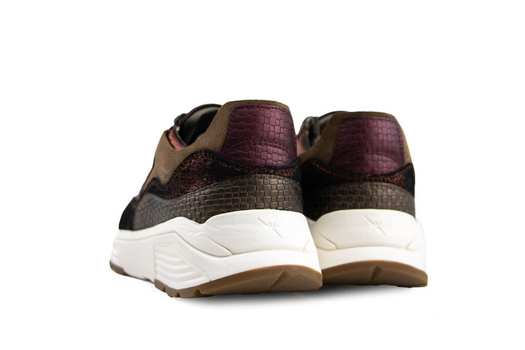 Xsensible Xsensible Golden Gate Lady GX Bronze Combi