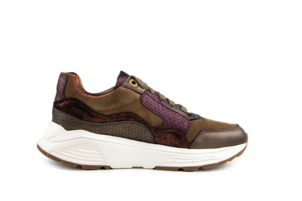 Xsensible Xsensible Golden Gate Lady GX Bronze Combi