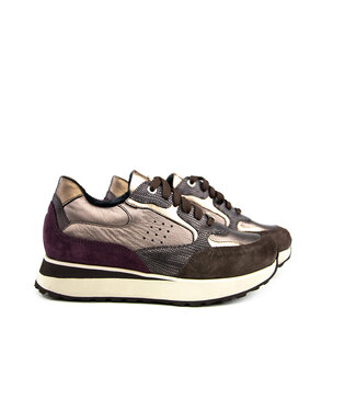Footnotes Footnotes Sneaker Esmee Brown Metallic H