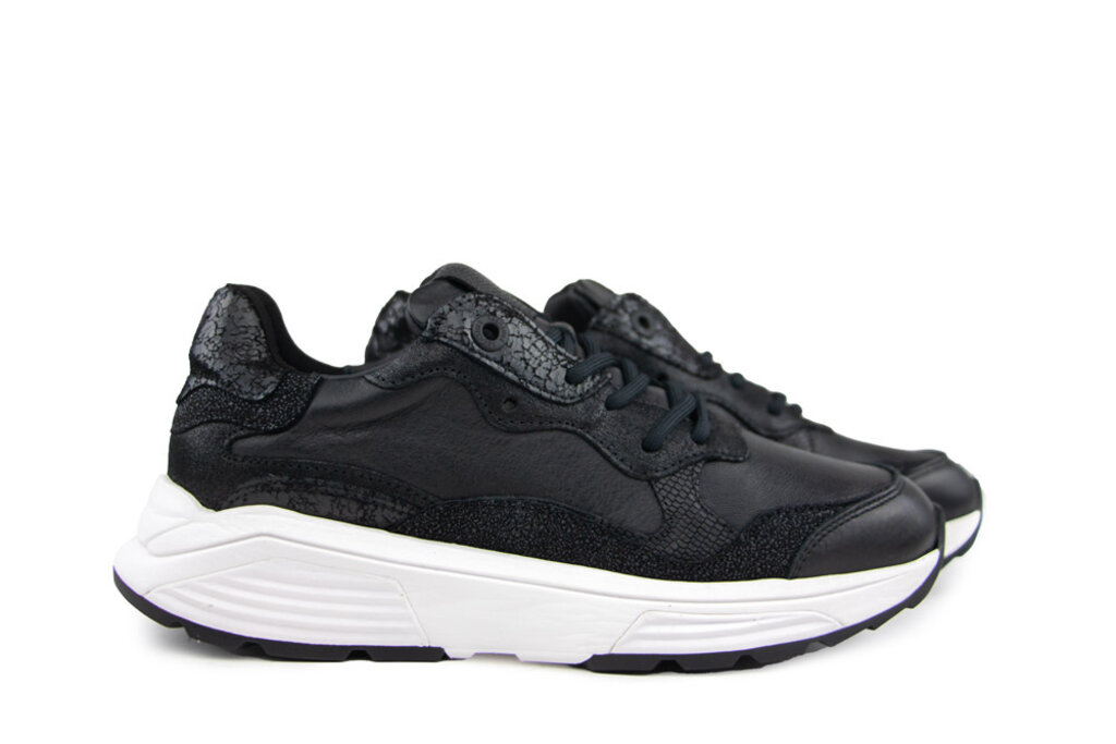 Xsensible Xsensible Sneaker Rainbow GX Black