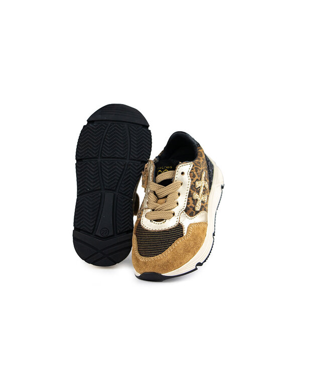 Pinocchio Sneaker Platina Combi