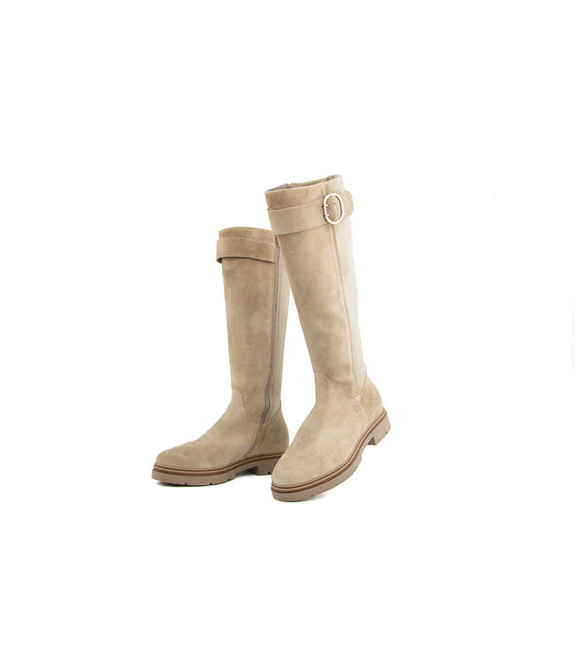 DL Sport Laars Gesp Tappo Velour