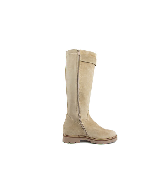 DL Sport Laars Gesp Tappo Velour