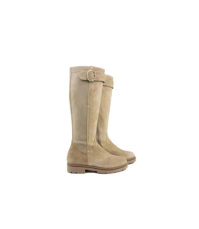 DL Sport Laars Gesp Tappo Velour