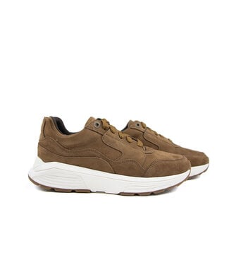 Xsensible Xsensible Golden Gate Men Cognac H