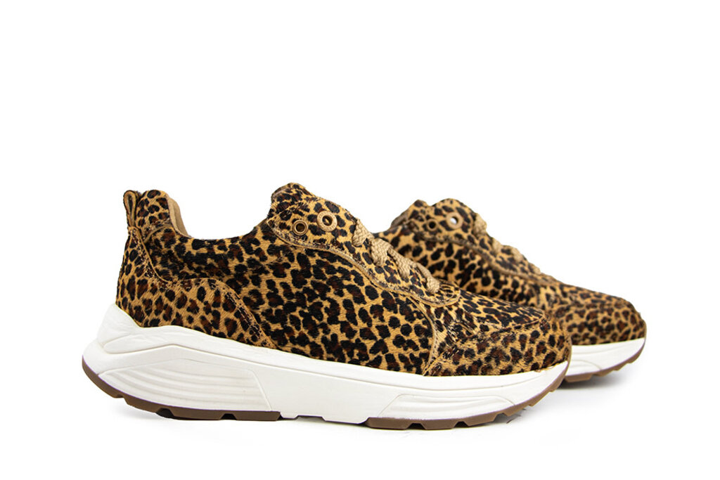 Xsensible Xsensible Sneaker Chain G Leopard