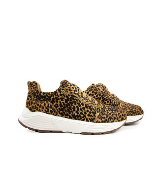 Xsensible Xsensible Sneaker Chain G Leopard