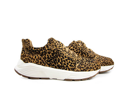 Xsensible Xsensible Sneaker Chain G Leopard Xsensible Xsensible Sneaker Chain G Leopard