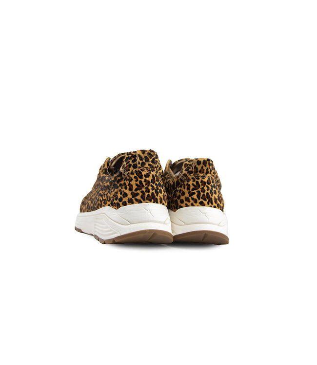 Xsensible Sneaker Chain G Leopard