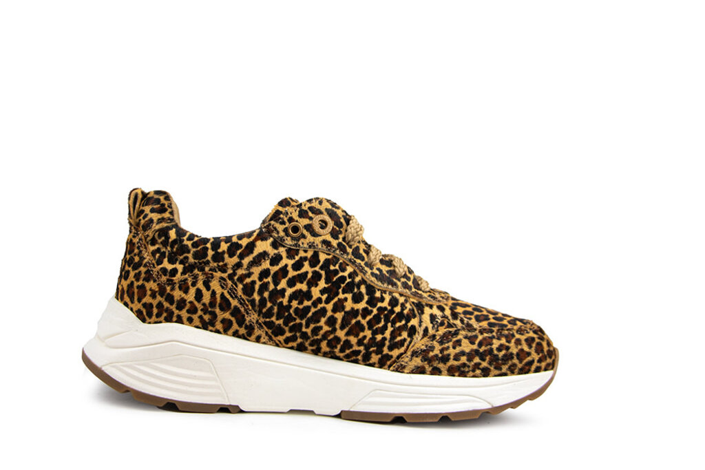 Xsensible Xsensible Sneaker Chain G Leopard