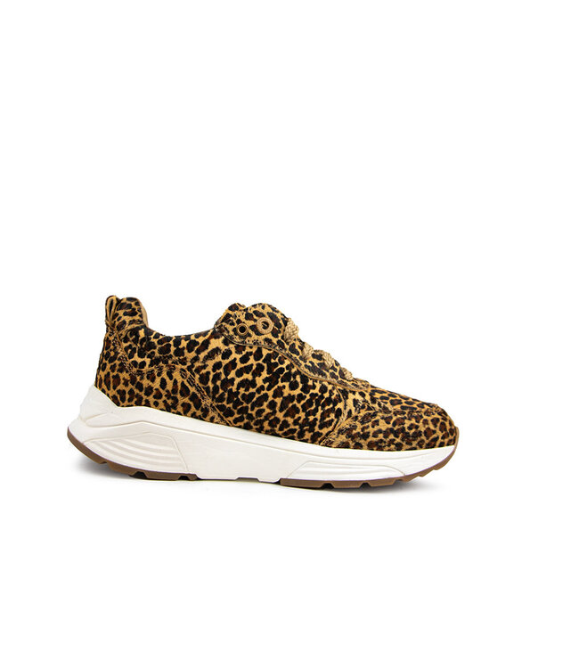 Xsensible Sneaker Chain G Leopard